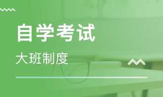 探索濟南心領(lǐng)秀教育咨詢有限公司 引領(lǐng)個性化教育新潮流